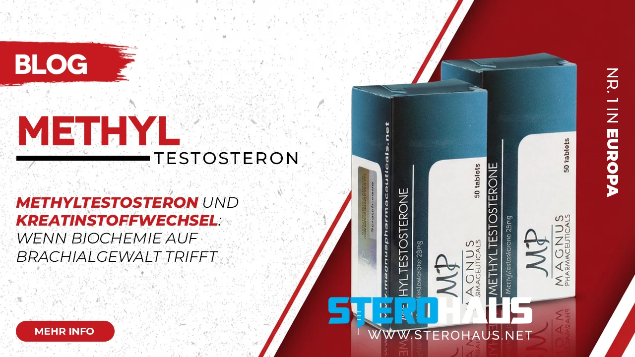 4.Die Wissenschaft hinter Testosteronmischungen Wie sie Muskelwachstum foêrdern und warum Ihre Muskeln Ihnen danken werden