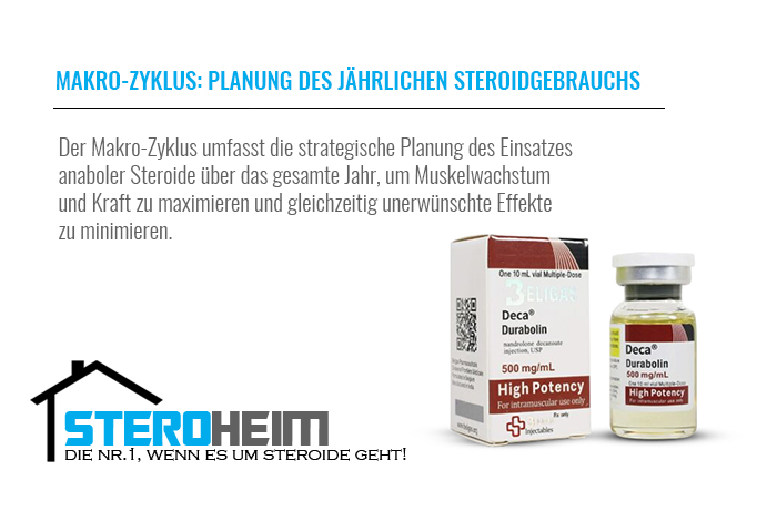 9.MAKRO ZYKLUS PLANUNG DES JAHRLICHEN STEROIDGEBRAUCHS